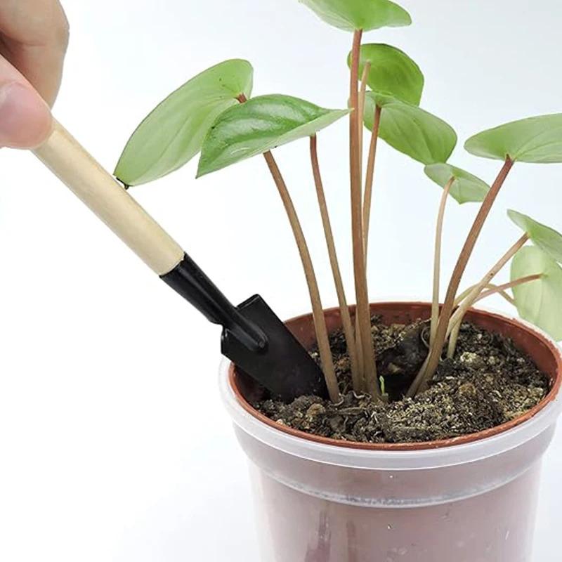 Mini Gardening Tools Set, 3-Piece Succulent Gardening Tool Set,  Stainless Steel Mini Shovel, for Succulents, Plants, Outdoor.