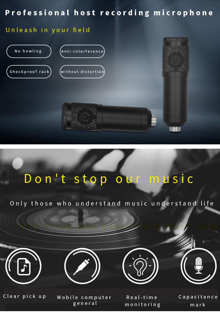 Cross border BM800 condenser microphone, anchor computer live recording, karaoke, e-sports voice microphone