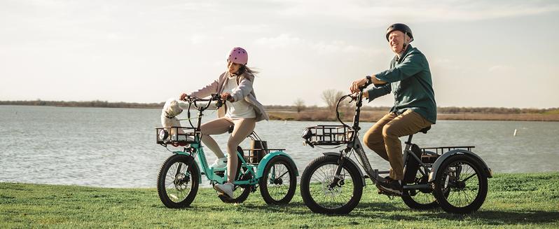 MOONCOOL TK1 Folding Electric Tricycle with Rack Bags , 750W Motor 48V Foldable Ebike Electric Trike for Adults, 20" Fat Tire 3 Wheel Electric Bicycle with Front & Rear Baskets