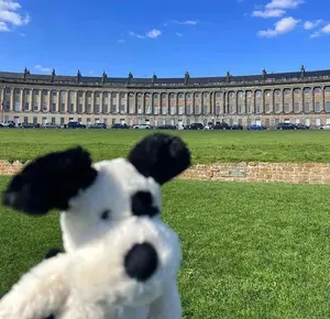 background preload poster image 