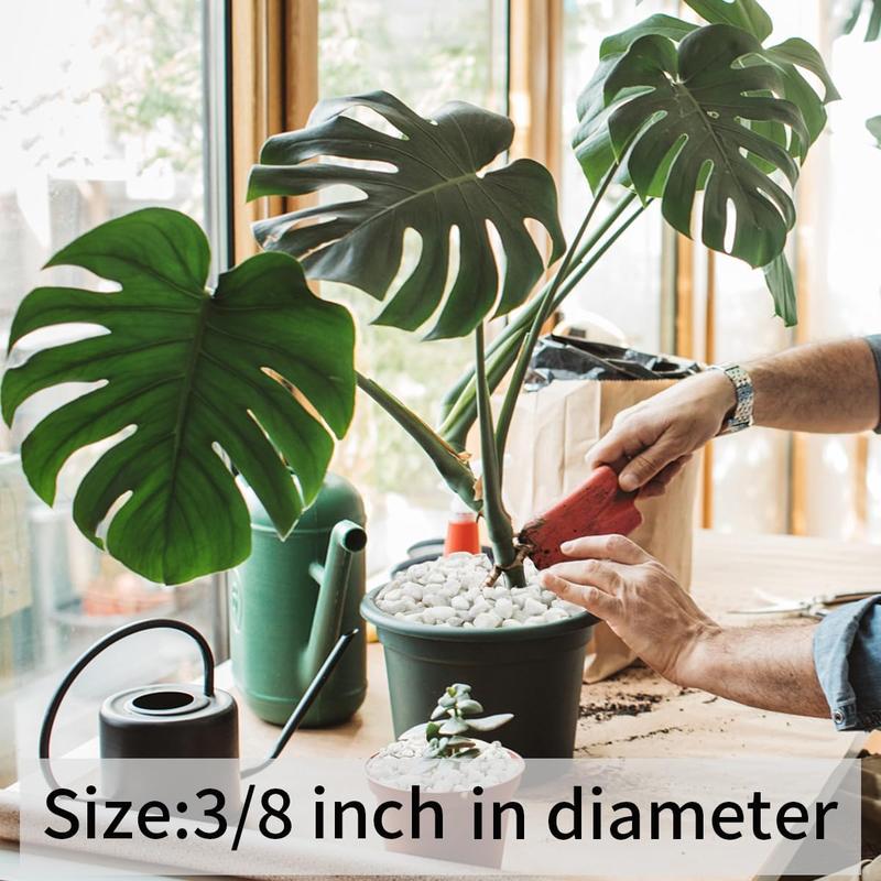 2 lbs Pea Gravel - 3/8 Inch Small Pebbles Rocks for Indoor Plants, Succulents, Cactus, Fish Tank, Terrarium, Landscaping and Decorative Stones(32 oz, 6-9 mm)