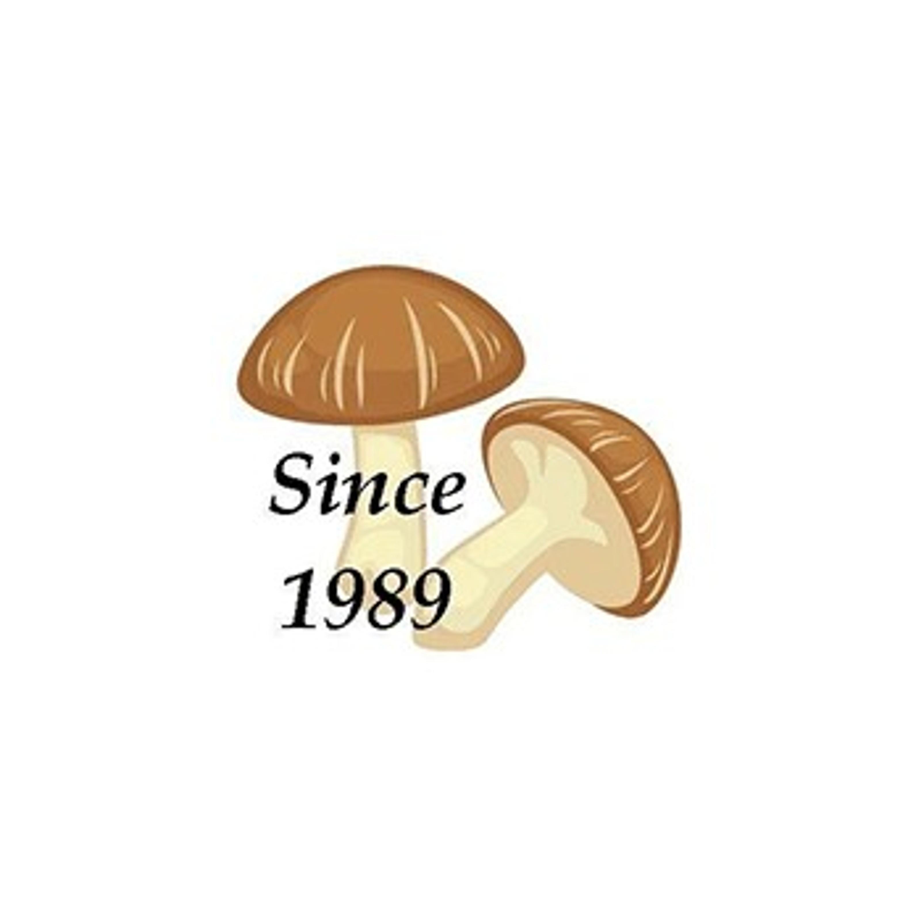 Morel Mushroom Growing Kit (Morchella) | Compatible with Any Soil Type Across the U.S., Outdoor Garden & Backyard Cultivation, Full Instructions Included