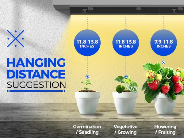 Barrina T5 Grow Lights with Black Cover, 1FT 10W (2 X 5W) with Magnetic Design, Full Spectrum, Plug and Play, Linkable, Yellow, 2 Packs
