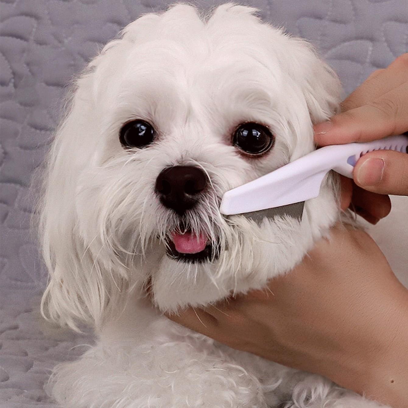 Pet Eye Cleaning Brush, Dog Tear Stain Remover, Puppy Eyelash Brush, Pet Care Supplies, Grooming Products, Gentle & Effective, Easy to Use