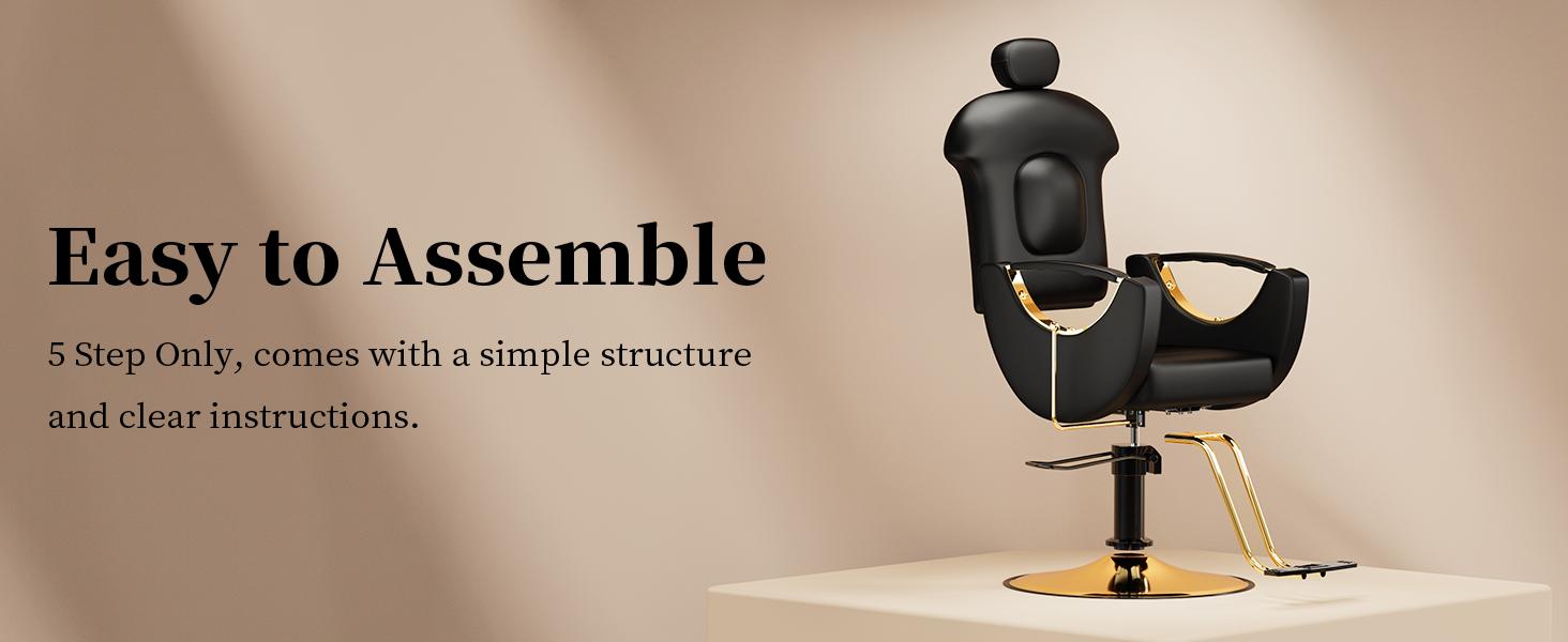 Baasha Reclining Hair Salon Chair, All Purpose Gold Salon Chair for Hair Stylist, Tattoo Chair, Weight Capacity 330 lbs