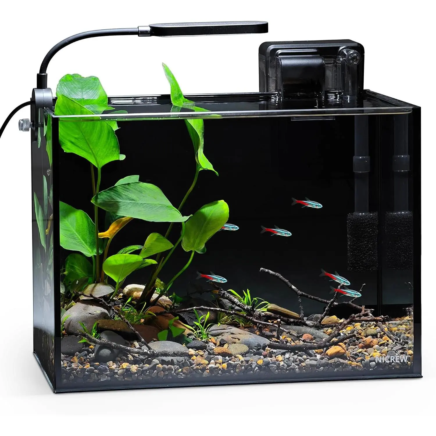 2.5 Gallon Nano Nature Aquarium Kit, Ultra-Clear Rimless Desktop Fish Tank with Light, Filter, Gravel and Rock, Perfect for Small Fish, Shrimp, or Betta, Complete Version, Black