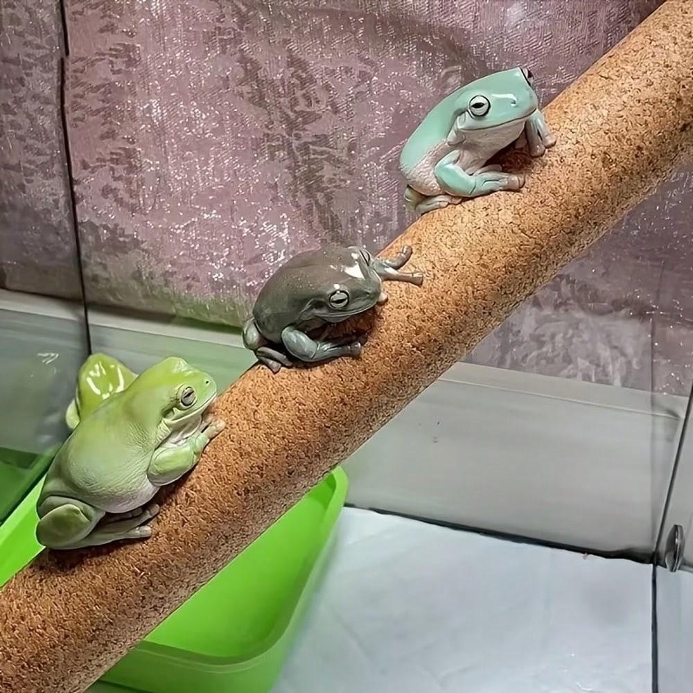1pc Natural Soft Wood Climbing Stick for Reptiles, Arboreal Perch for Lizards, Geckos, Crested & Gargoyle Geckos, Terrarium Habitat Accessory