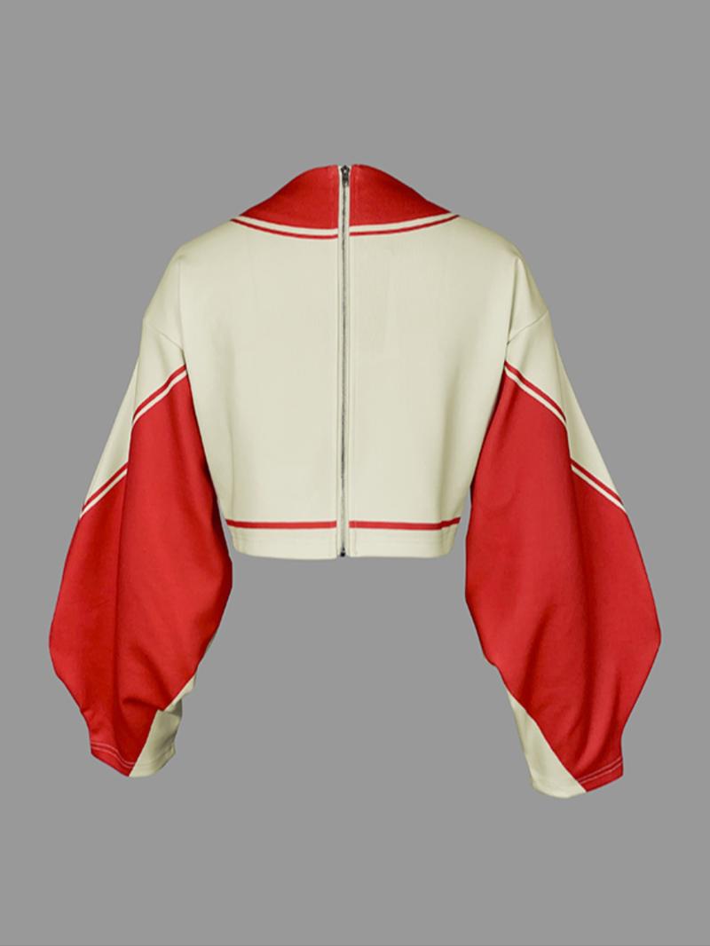 Women's Colorblock Print   Zip Up   Jacket, Casual Long Sleeve   Outerwear for Daily Wear, Ladies Clothes for All Seasons