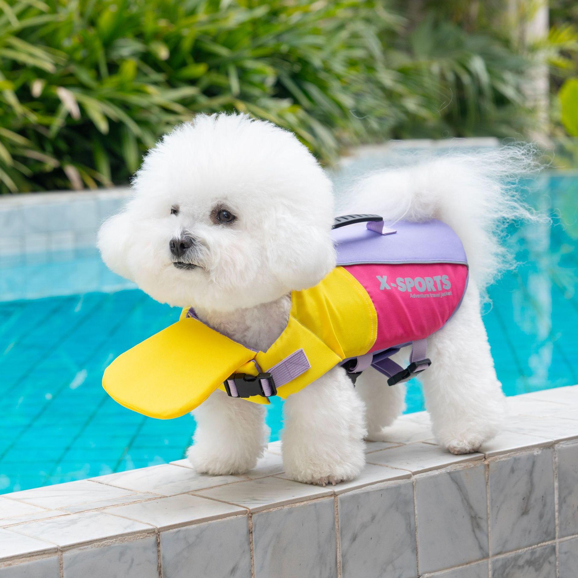 Dog clothing, animal clothing, big dog swimming suit, big dog life jacket, small and large pets can wear small animal swimming suit, handheld trial, big dog clothing, small dog diving suit, life jacket, British style clothing, Outdoor