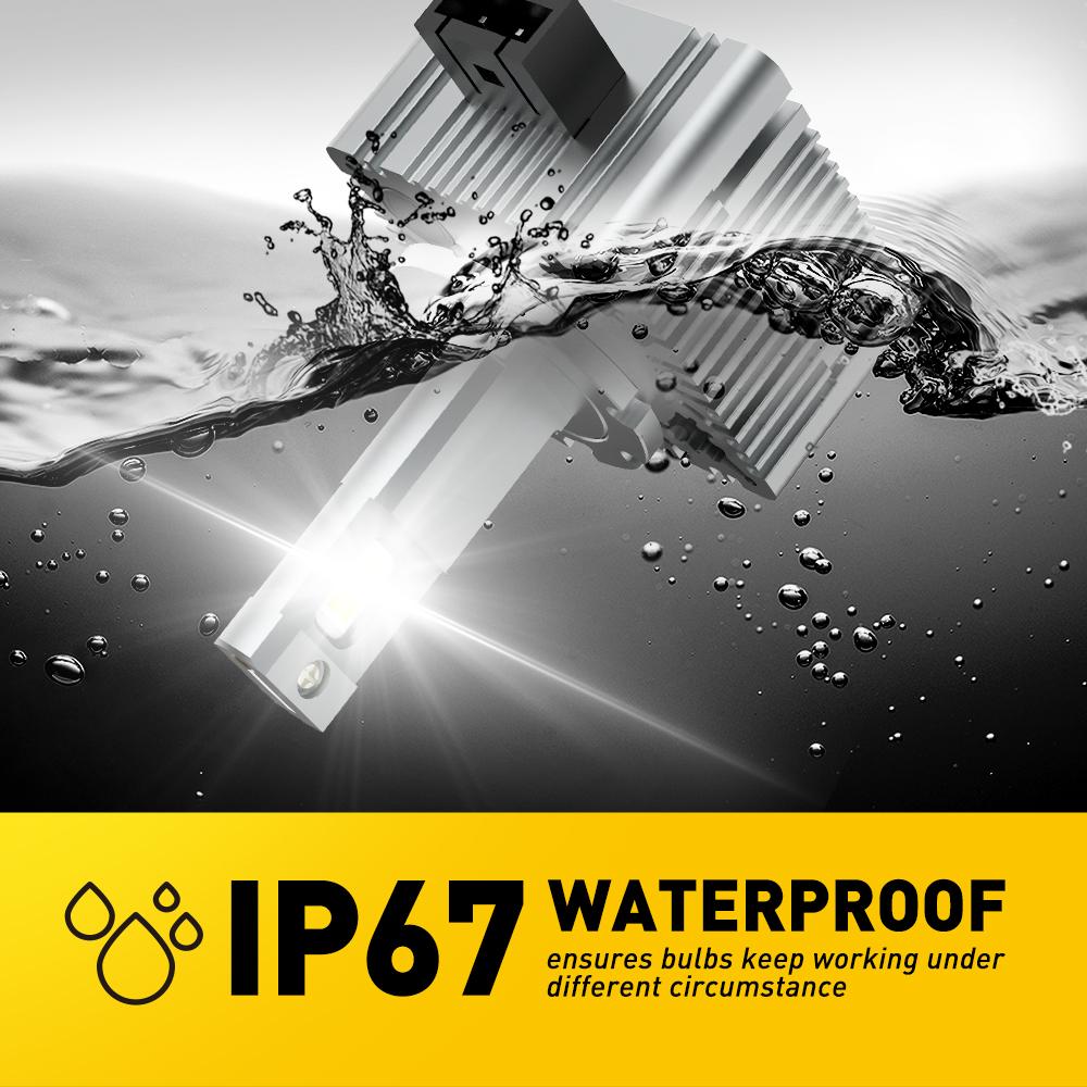 AUXITO D1S D1R D2S D2R D3S D3R Bulbs, 24000Lumens 120W 6000K White 500% Brightness, Xenon HID Replacement Lights, Plug and Play Fog Light Bulbs, Pack of 2 AUXITO D1S D1R D2S D2R D3S D3R Bulbs, 24000Lumens 120W 6000K White 500% Brightness, Xenon HID Replacement Lights, Plug and Play Fog Light Bulbs, Pack of 2