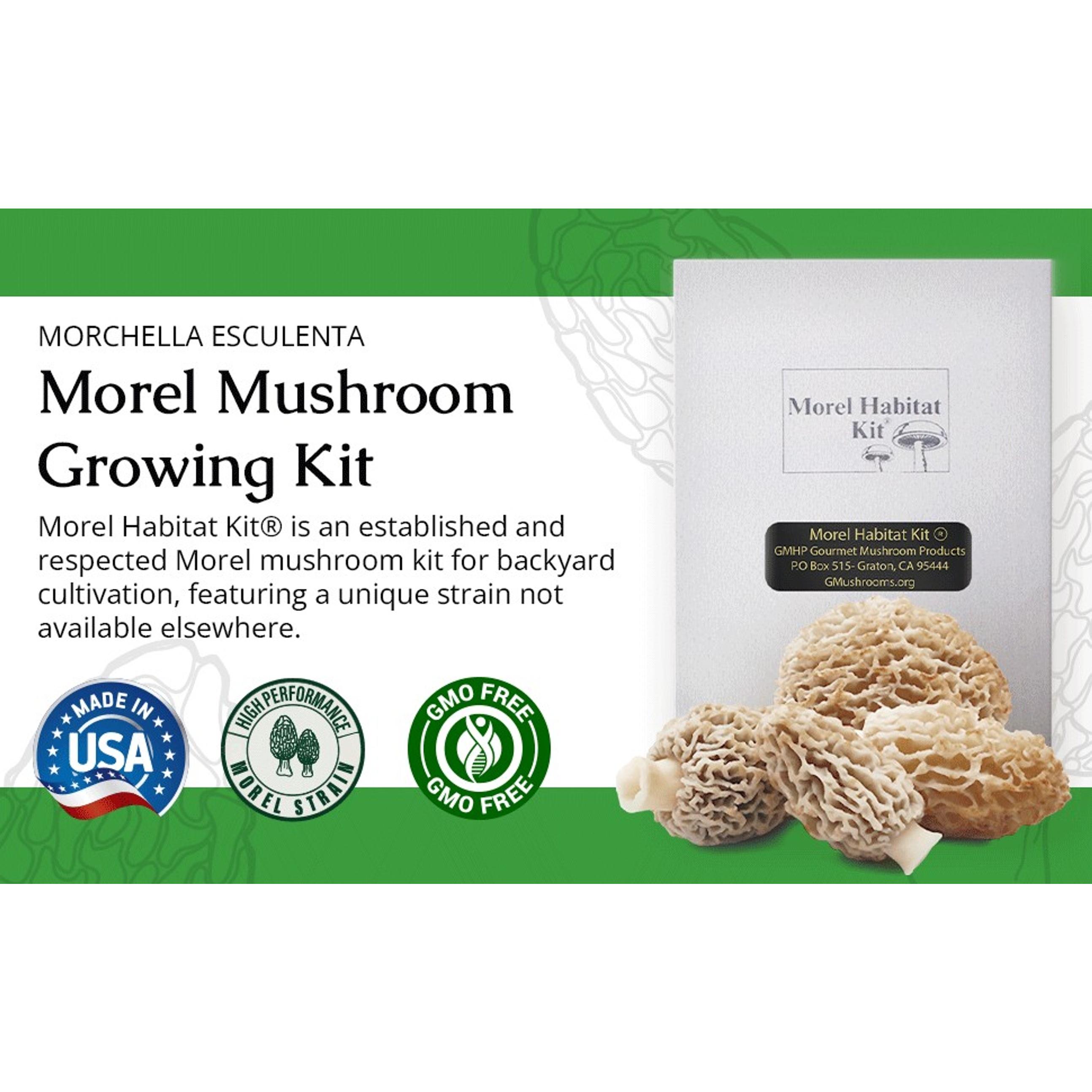 Morel Mushroom Growing Kit (Morchella) | Compatible with Any Soil Type Across the U.S., Outdoor Garden & Backyard Cultivation, Full Instructions Included