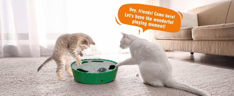 Pawaboo 4 Holes Whack-a-mole Electric Cat Toy, Interactive Cat Toy with Running Mouse, Pop and Play Hide Seek Cat Toy,Pet Supplies