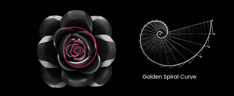 Product Introduction of Supreowls Black Rose Flower Bouquet Building Set, Black Rose Botanical Collection Blocks Kit Compatible for Adults Women, Artificial Flowers Gothic Decor for Valentine's Day & Halloween 2