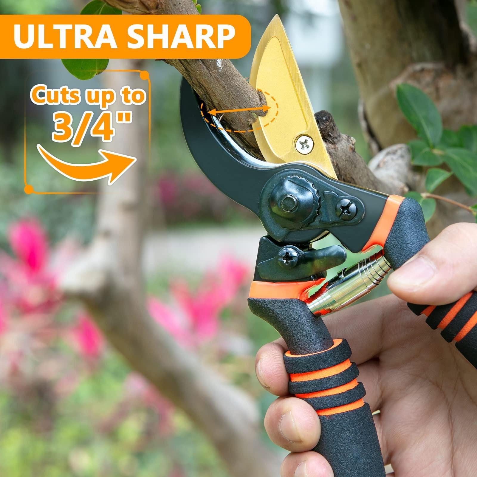 8.5" Professional Pruning Shears, Sk5 Steel Titanium Bypass, Garden Hedge Clippers, Ergonomic Pruners for Trees Shrubs Lawn