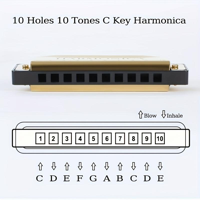 Beginner Harmonica - 10-Hole C Key Professional Blues Harmonica, Comes with a Harmonica Case, Cleaning Cloth, And Manual, Perfect for Beginners, Adults, And Professionals As a Joyful Gift for Eid