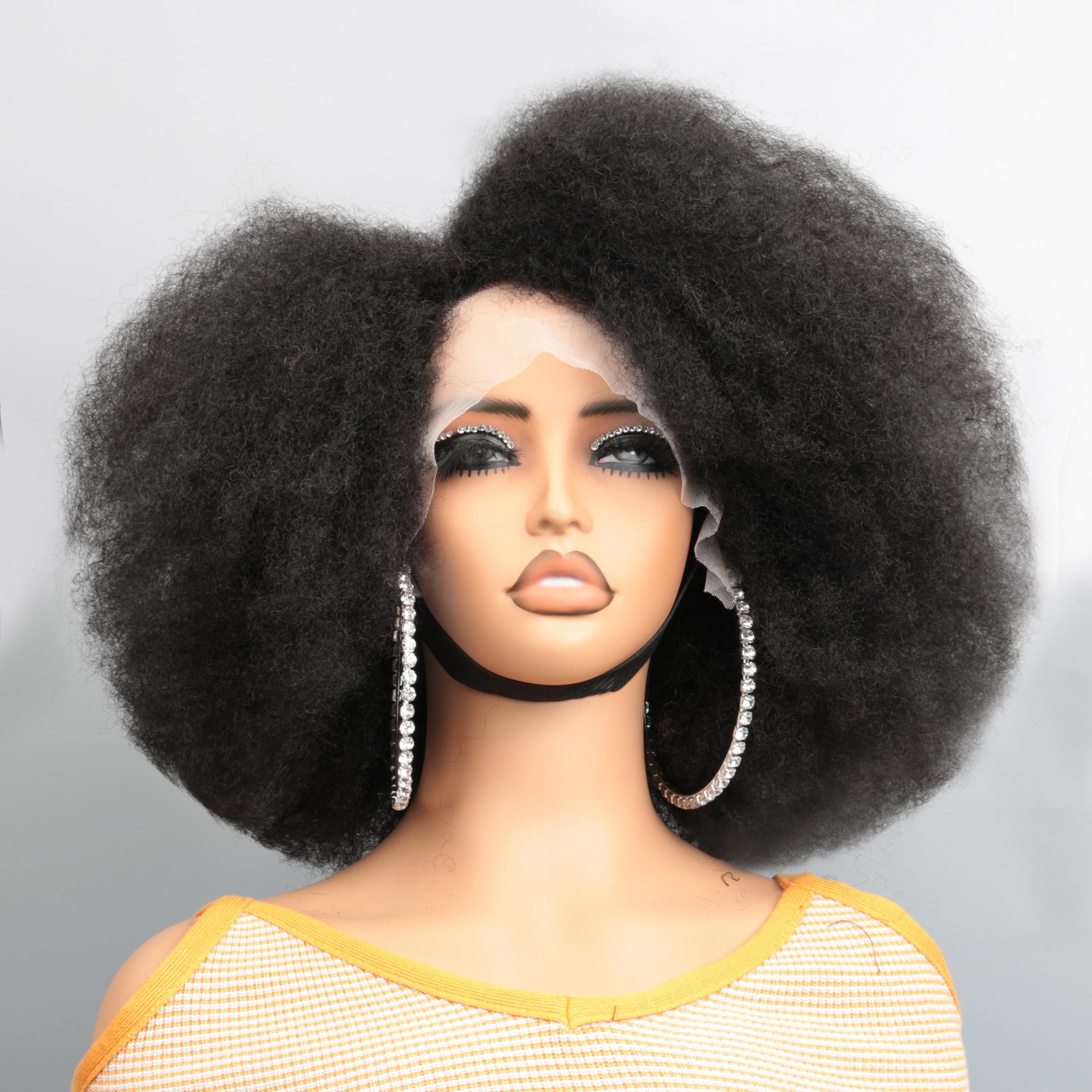 Imani 14 Inch Afro Kinky Curly Wig Short Curly Wig Human Hair for Black Women 250% Density 13x4x2 HD Lace Frontal Wig for Daily Use with Natural Hairline Affordable Wig