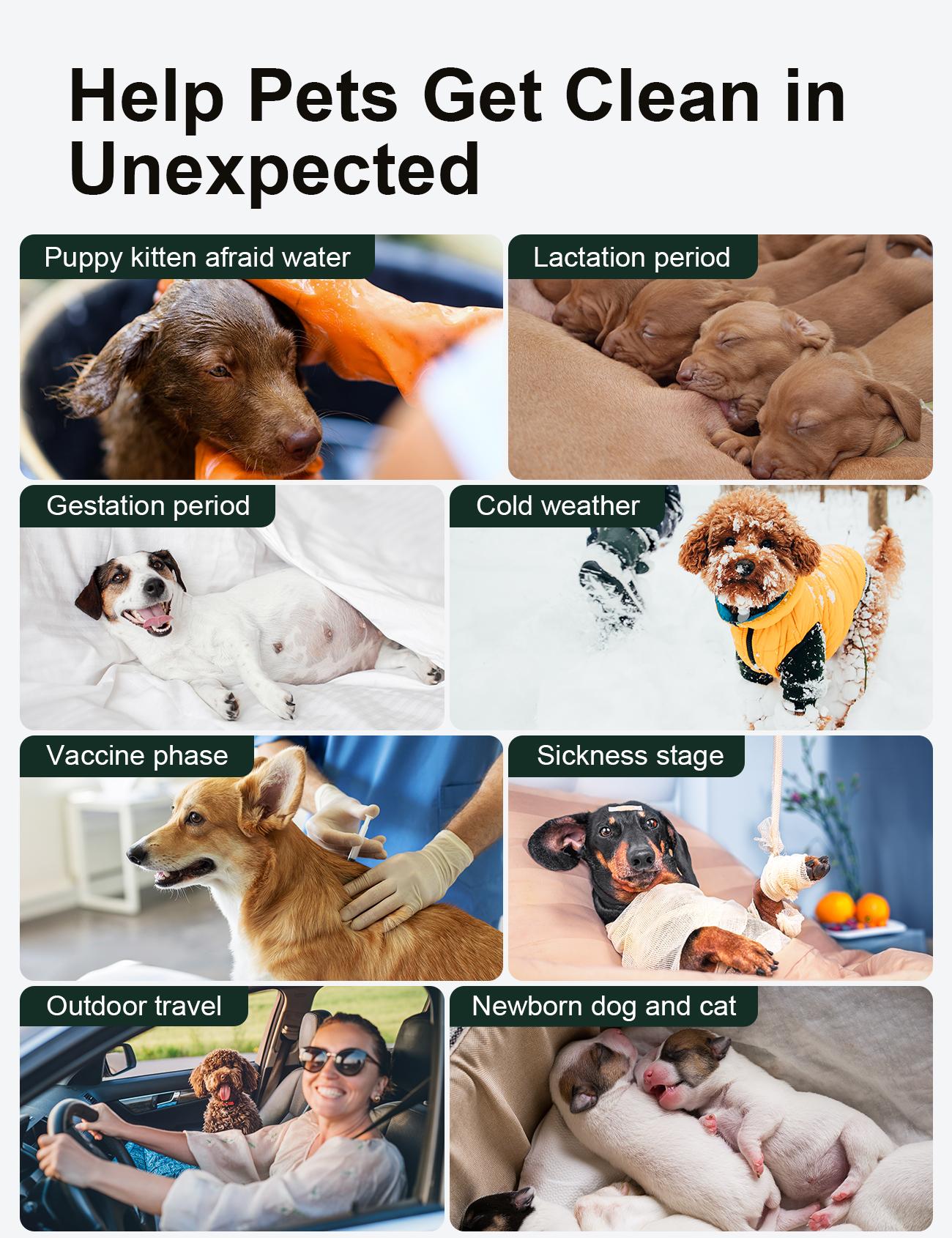 Dono Disposable Pet Grooming Glove Wipes for Dogs & Cats 18 PCS Easy Quick Cleaning Deodorizing Double-Sided Texture Hypoallergenic for Sensitive Pets Kitty Fathersdaygift Dono Disposable Pet Grooming Glove Wipes for Dogs & Cats 18 PCS Easy Quick Cleaning Deodorizing Double-Sided Texture Hypoallergenic for Sensitive Pets Kitty Fathersdaygift