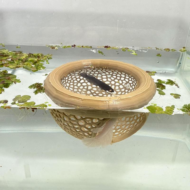 Aquarium Floating Betta Fish Skin Feeder, Cave & Hammock Combo, Small Fish Food Ring, Hideaway Decor Accessory