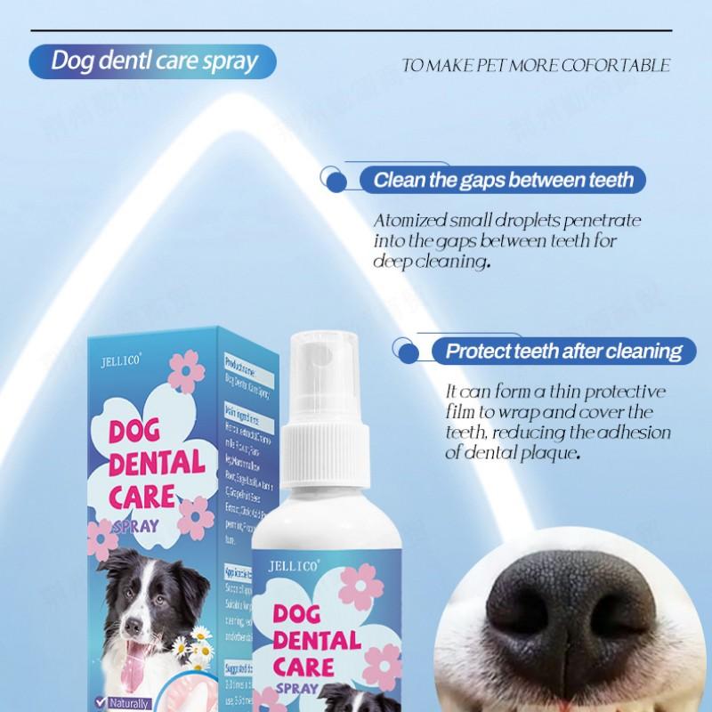 Pet Mint Oral Spray Mouthwash for Cats and Dogs, Fresh Breath Oral Care Solution, 100ML, Effective Odor Eliminator, Gentle Formula