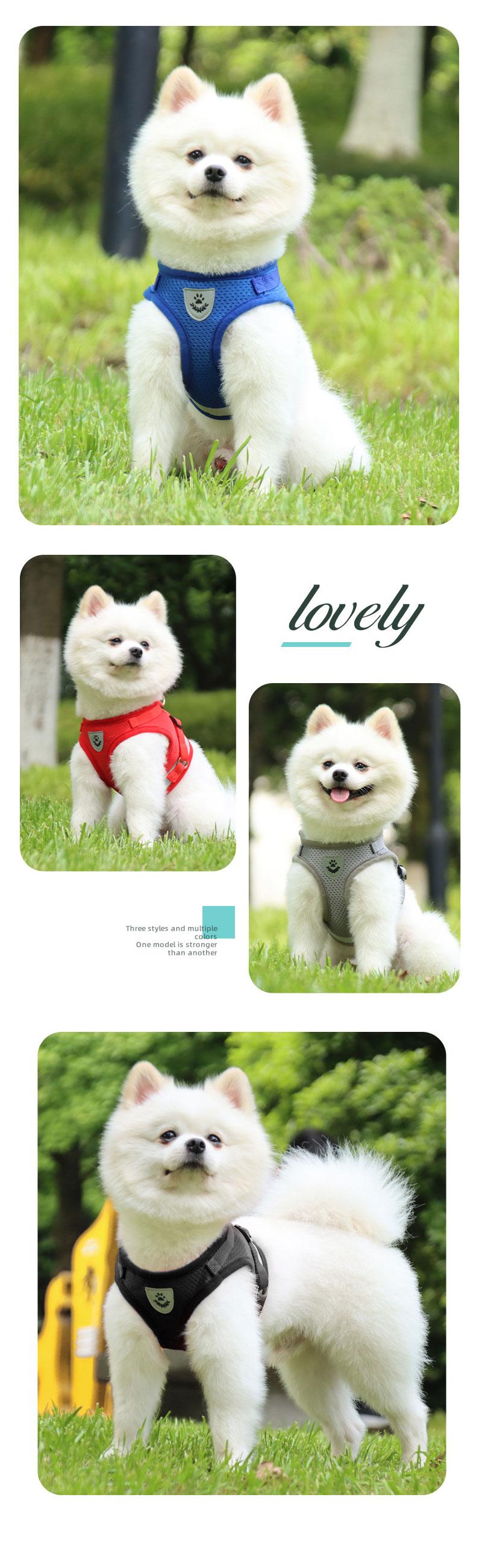 New Dog Harness Leash, Reflective Breathable Puppy Chest Strap, Outdoor Pet Vest, Non-Straining Rope, Small Dogs and Cats