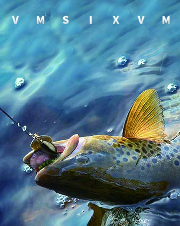 European Deer Skull Mount Hanger, Euro Wall Mount Hanger for Deer Head, Pronghorn and Other Smaller Animals, Skull Wall Hooker with Easy Installation Kit for Indoor Outdoor