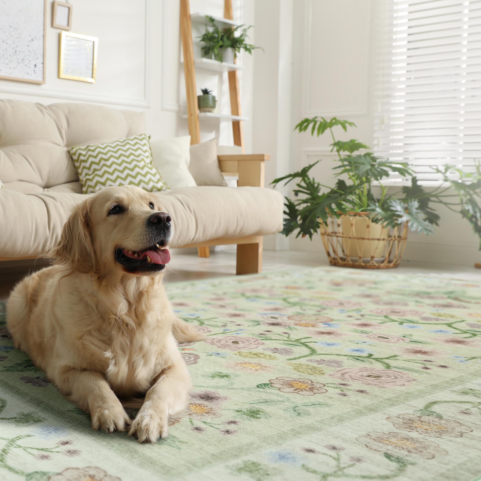 Lochas Floral Washable Living Room Area Rug ,Non-Slip Low-Pile Rugs for Entryway, Throw Small Stain Resistant Kitchen Rugs, Print Carpet for Office, Bedroom, Laundry Room, Nursery, Home Decor