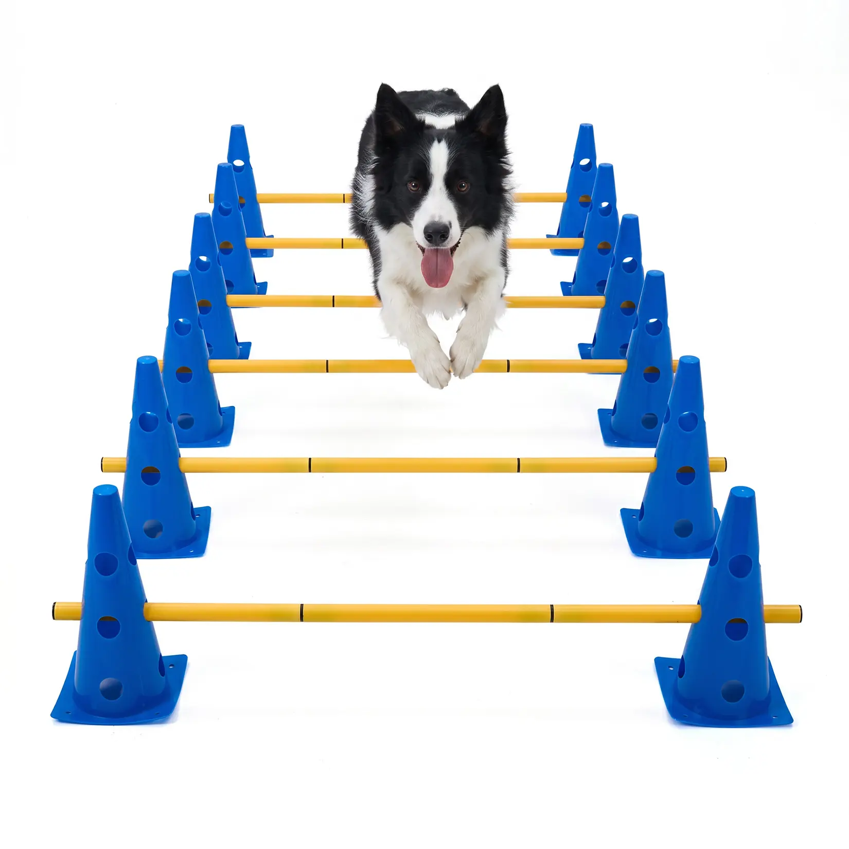 18-Piece Dog Agility Training Set, 12 Cones & 6 Adjustable Jump Rods, 32cm High Hurdle Kit for Puppy & Large Dogs, Backyard Exercise Kit