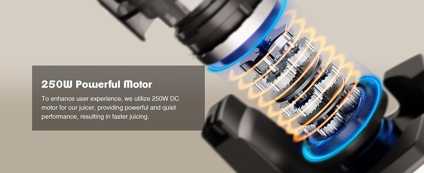 FRETTA cold pressed juicer with 5.3" Feed Chute, Slow Masticator Chute, For Whole Vegetables and Fruits, High Yield, Easy to Clean Springtok Steel