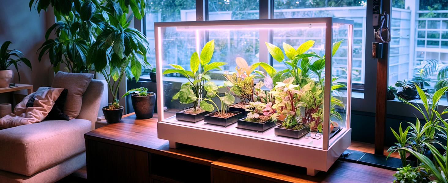 Barrina T5 Grow Lights, Full Spectrum, 2FT, 40W (4 x 10W, 250W Equivalent) for Indoor Plants, Greenhouse, Plug and Play, Yellow, 4 Packs