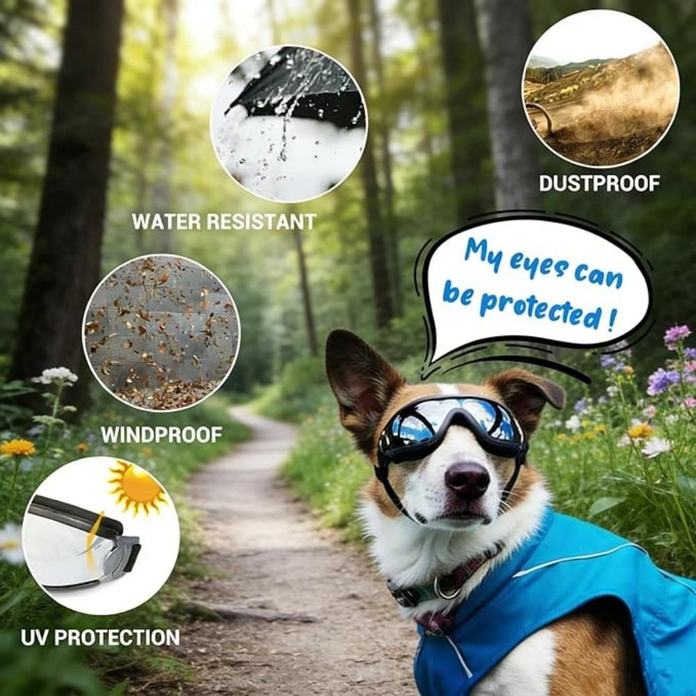 Dog Glasses, Pet Sunglasses, Outdoor Adventure Protective Eyewear, UV Protection, Windproof Design, Adjustable Strap, Durable Material
