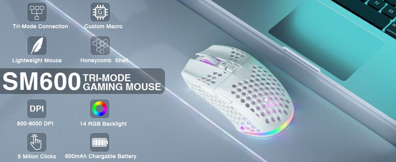 Solakaka SM600 Wireless Esports Gaming Mouse,Tri-Mode Connection 2.4G/BT5.0/USB Wired Mode Switching Gaming Mouse, Compatible with Bluetooth Connection Ergonomic Mouse, RGB Backlit PC Gaming Mouse, Office Desktop Laptop PC Accessories FallFreshness