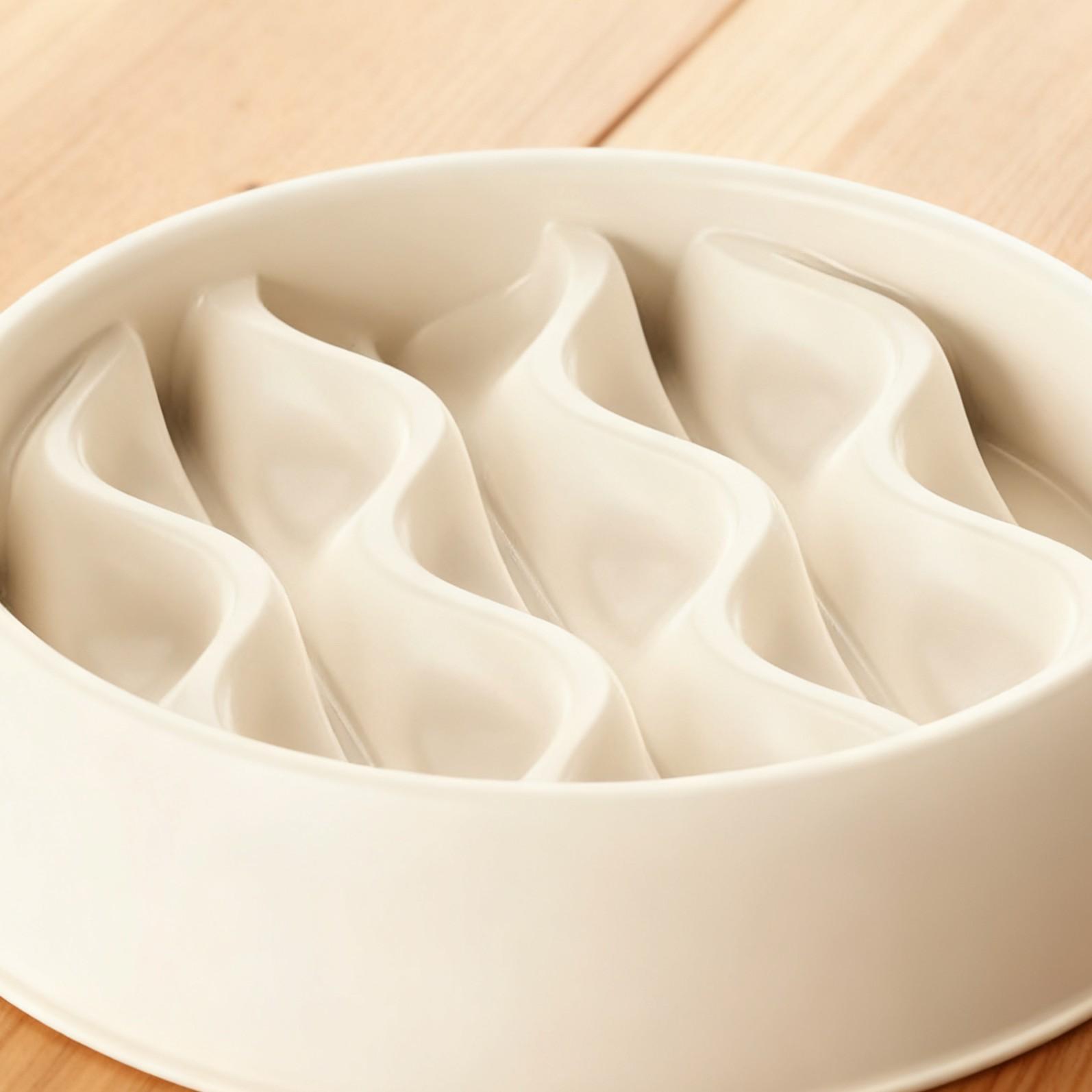 Multi-Purpose Cat Bowl, Thickened Anti-Choking Slow Feeder, Splash-Proof Double Bowl, Pet Food Dish, Supplementary Food Bowl