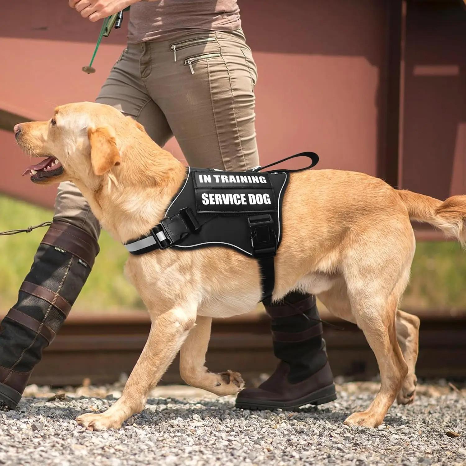 Service Dog Vest Harness with 10 Patches and Leash, No Pull Easy Walk Reflective Harness, Soft Padded Handles for Training and Daily Use