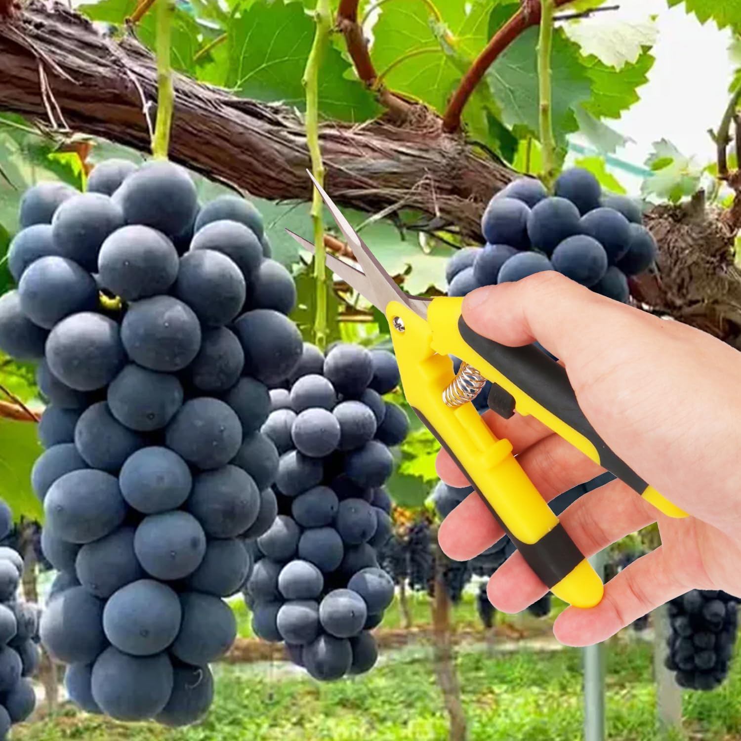 3pcs Gardening Scissors Set Plant Pruning Shears Garden Scissor Pruners for Tree Trimming Garden Clippers Shears Gardening Tools Hand Pruning Shears Tree Pruners Yellow Rubber