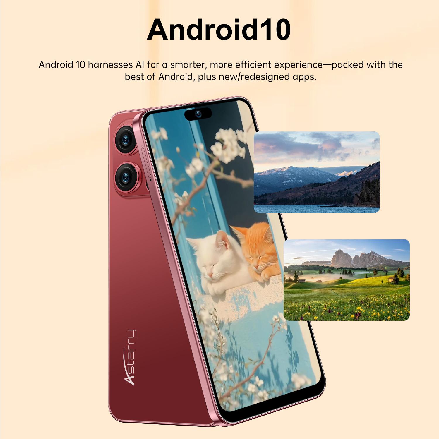 Astarry-17 Pro Max Android Phone, 64GB Storage, 4GB RAM, 6.93-Inch HD Display, 4100mah Battery, Dual Sim, 5+13mp Camera, Face ID, WiFi, TF Card Support, Large Screen Smartphone, Android Mobile Smartphone, Cell Phone