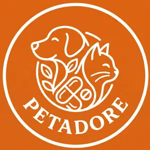 background preload poster image 