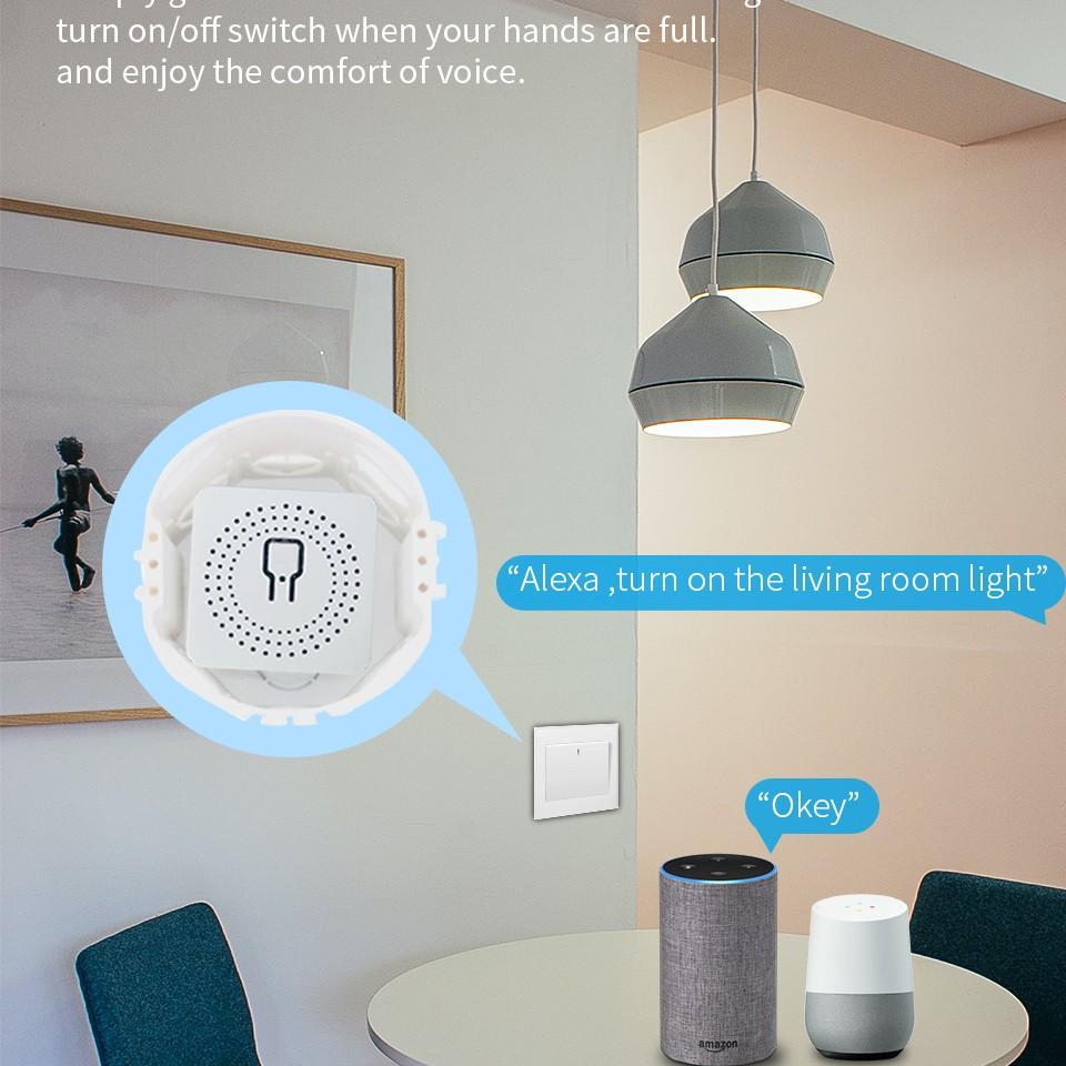 Doodle WiFi Smart Switch Compatible with Alexa and Google Home, Mini Size Suitable for Various Switches, Remote Control, Voice Control, Timer Function