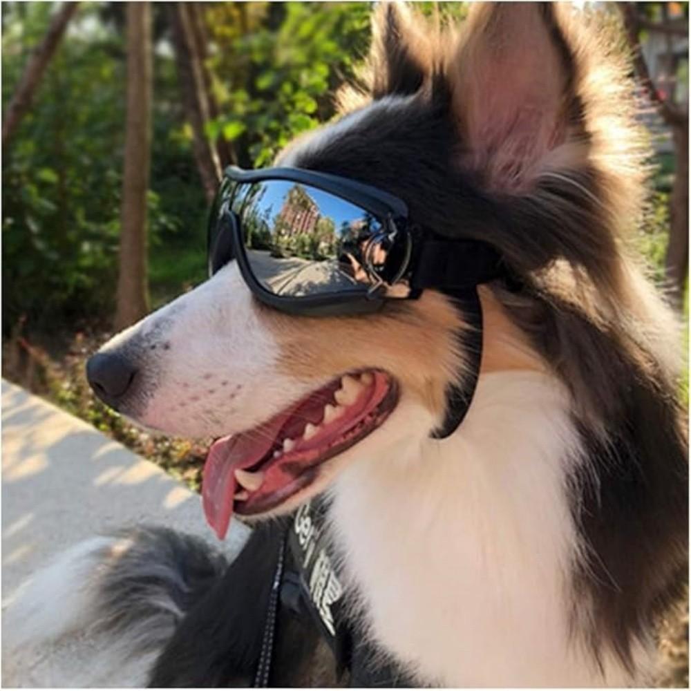 Dog Glasses, Pet Sunglasses, Outdoor Adventure Protective Eyewear, UV Protection, Windproof Design, Adjustable Strap, Durable Material