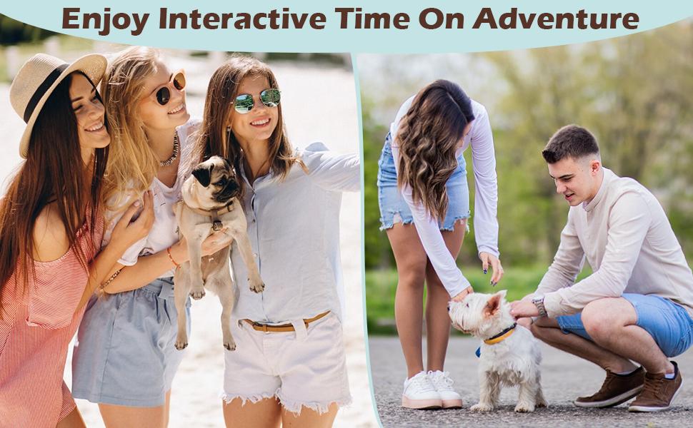 Pawaboo Pet Carrier Sling - Thick Padded Adjustable Shoulder Strap Pet Carriers for Small Dogs And Cats, Puppy Carrier Purse for Pet Cat with Front Zipper Pocket Safety Belt Machine Washable