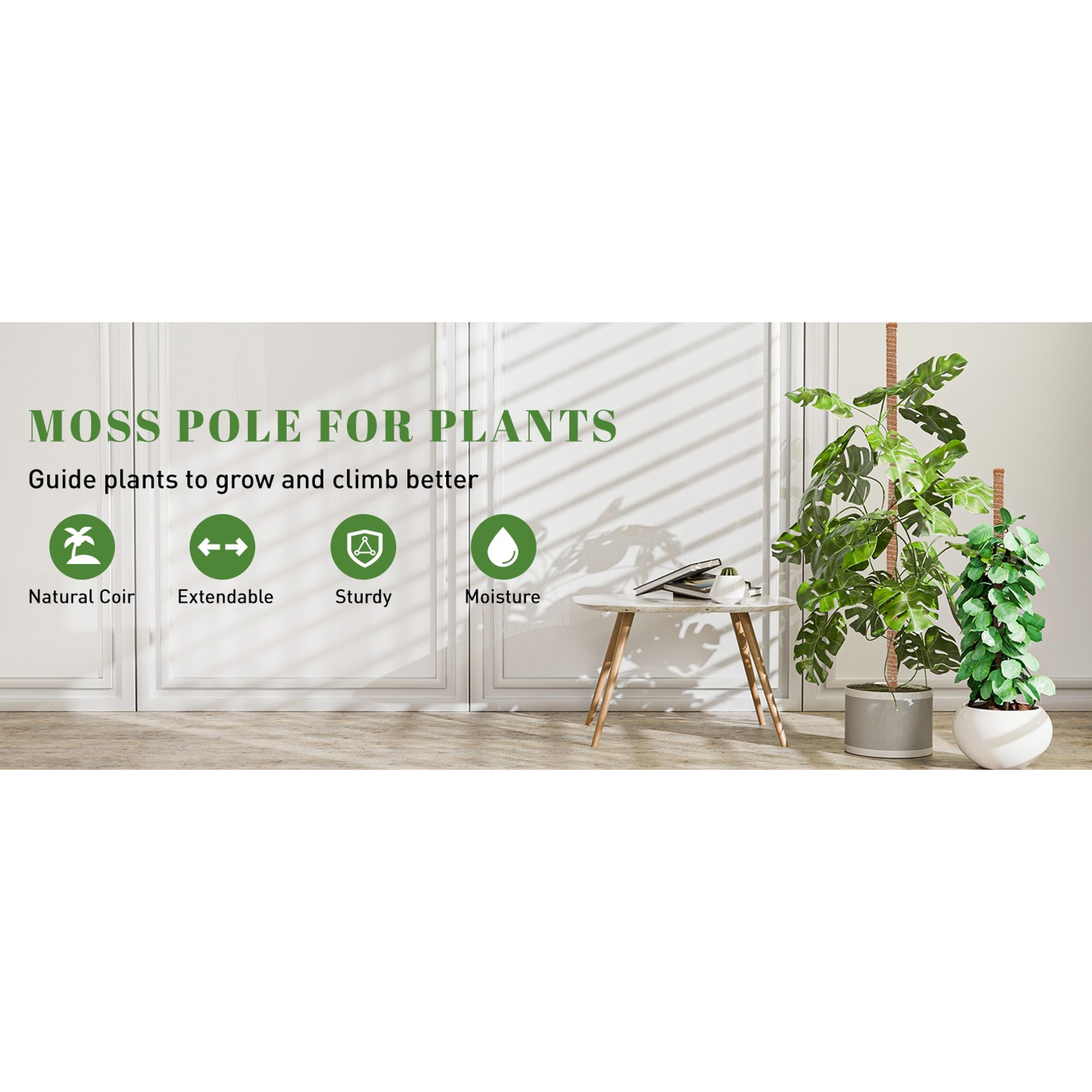 54 Inch Moss Pole, 3 Pack 16 Inch Moss Poles Monstera Plant Support, Moss Poles for Climbing Plants Indoor, Coir Plant Pole Sticks Support Stakes for Potted Plants, Pothos, Philodendron