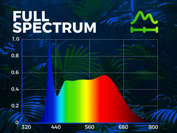Barrina T10 Pro Standing Grow Light with Timer, 42W, 5000K, Full Spectrum, Wide Coverage, 4FT to 5.6FT Height with Foot Switch