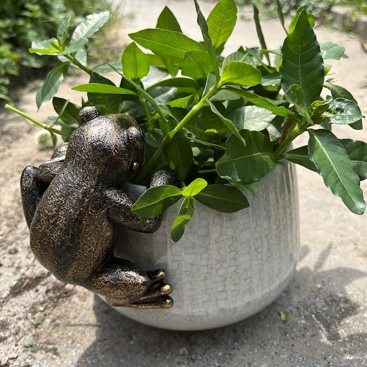 Frog Flower Pot Hugger Figurines, Frog Statue Decor for Garden Yard Fence Balcony   Décor Gifts