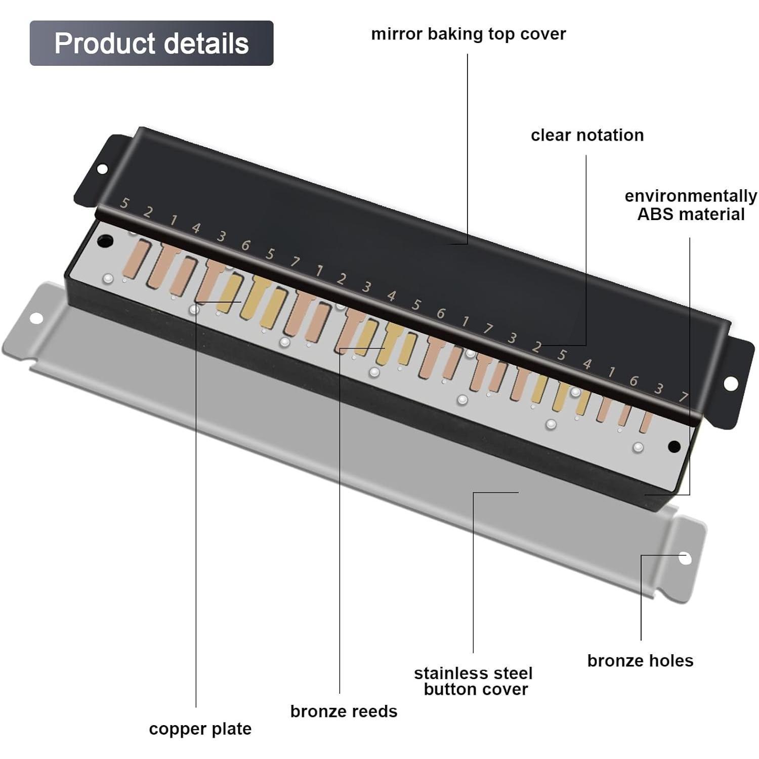 Blues Harmonica 24 Hole C Key with Case, Mouth Organ Harp, Diatonic Harmonica for Beginner, Adult, Professional, Students, , Gifts, Black