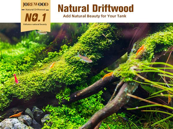 Driftwood for Aquarium Decor,Driftwood for Decorations on Fish Tank, Reptiles Bearded Dragon Accessories or Air Plants