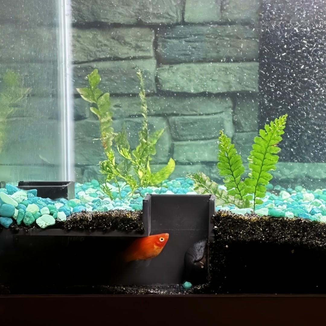 270° Full View Aquarium Biome Cave Set for Tropical Fish and Shrimp, Interactive Tunnel and Hideaway, Safe Resin and Connectable Design