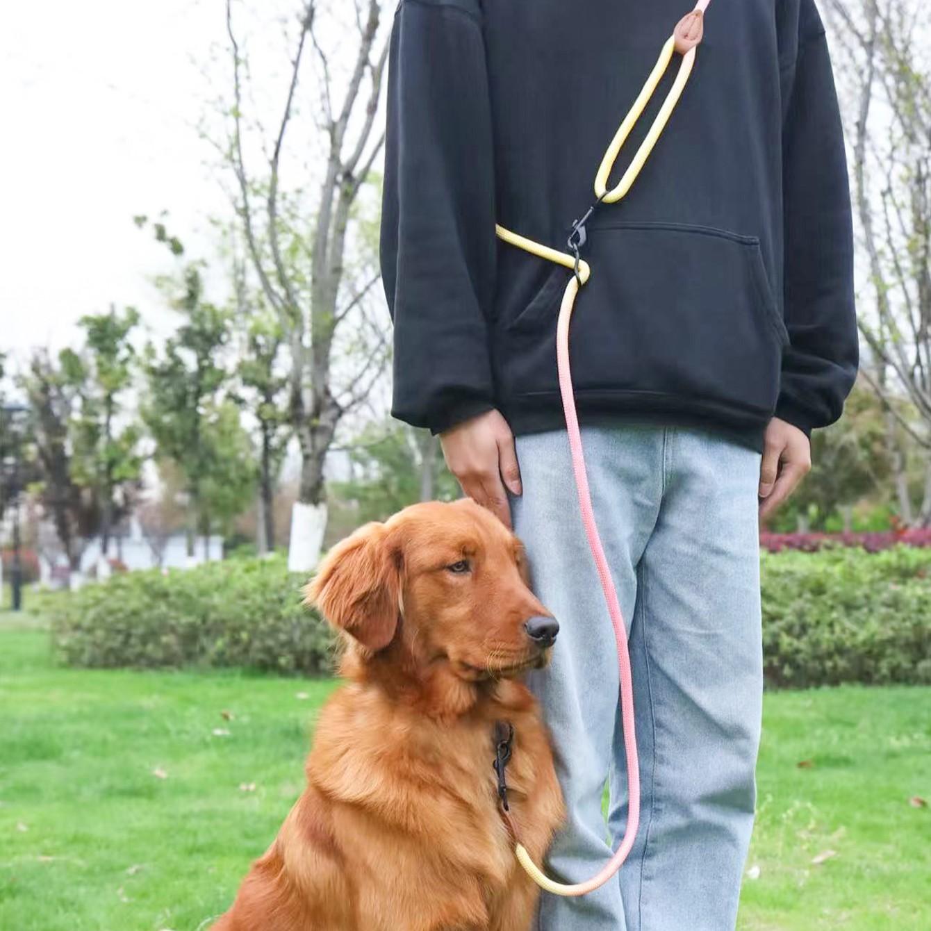 Adjustable Gradient Nylon Pet Leash, Multi-Functional Dog Training Rope, Ideal for Playing, Running, Camping, Backyard Exercise