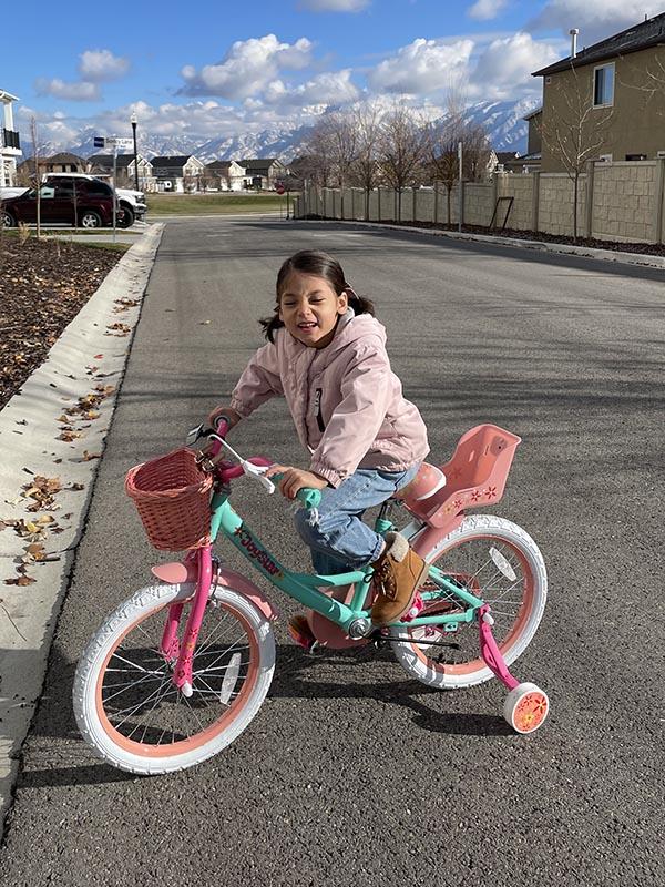 JOYSTAR Girls Bike for 2-9 Years Old Kids 12-18 Inch with Training Wheels Basket and Doll Seat kickstand boy girl