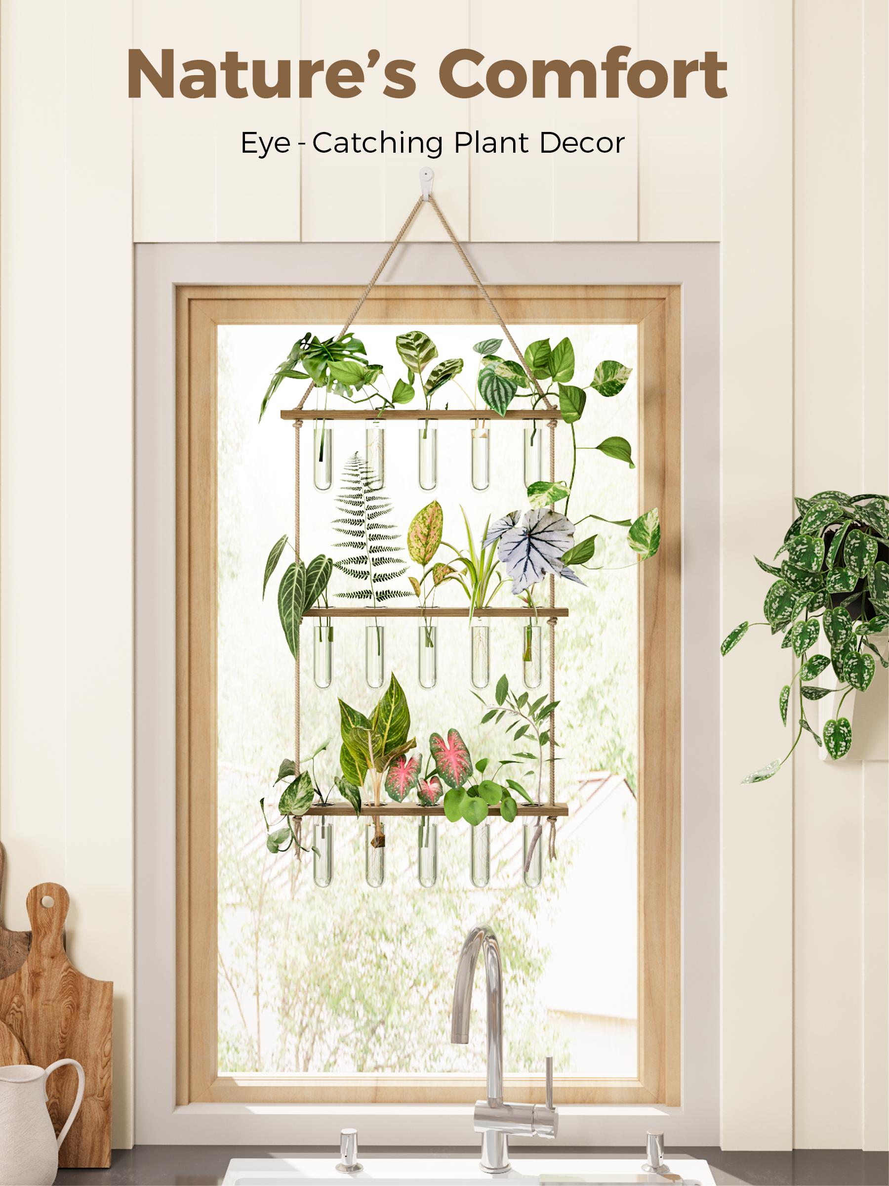 BamWorld Hanging Plant wall planter Propagation Station Glass Terrarium with 3 Tiered Wooden Stand 15 Glass Tubes for Hydroponic Plant Wall Hanging Planter Gift for Plant Lover Home Decor Bedroom Deco