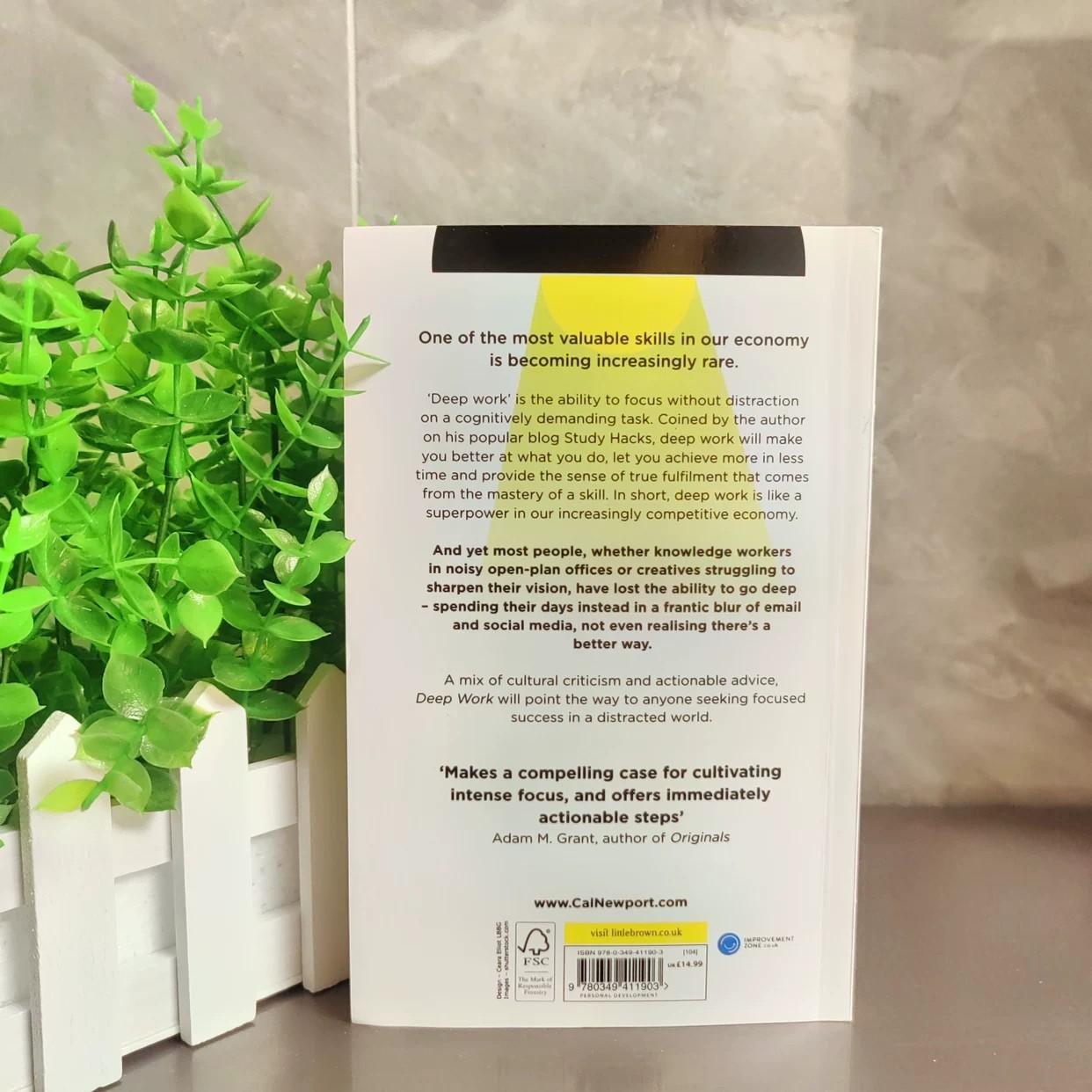 Depth Work Deep Work Rules for Focused Success, Genuine Book, Essential Guide for Enhanced Focus & Productivity, Must-Read Business Literature, Modern