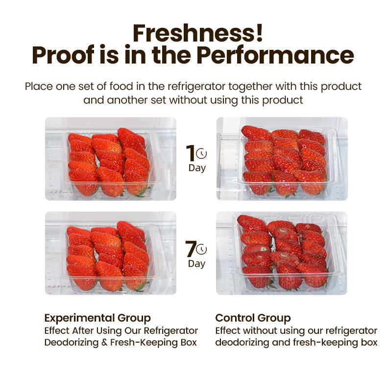 Reusable Fridge and Freezer Deodorizer Unscented Activated Carbon Formula Eliminates Odors Absorbs Moisture Ideal for Refrigerators Freezers Coolers Closets and Trash Can Long-Lasting Performance Universal Fit Extended Food Freshness